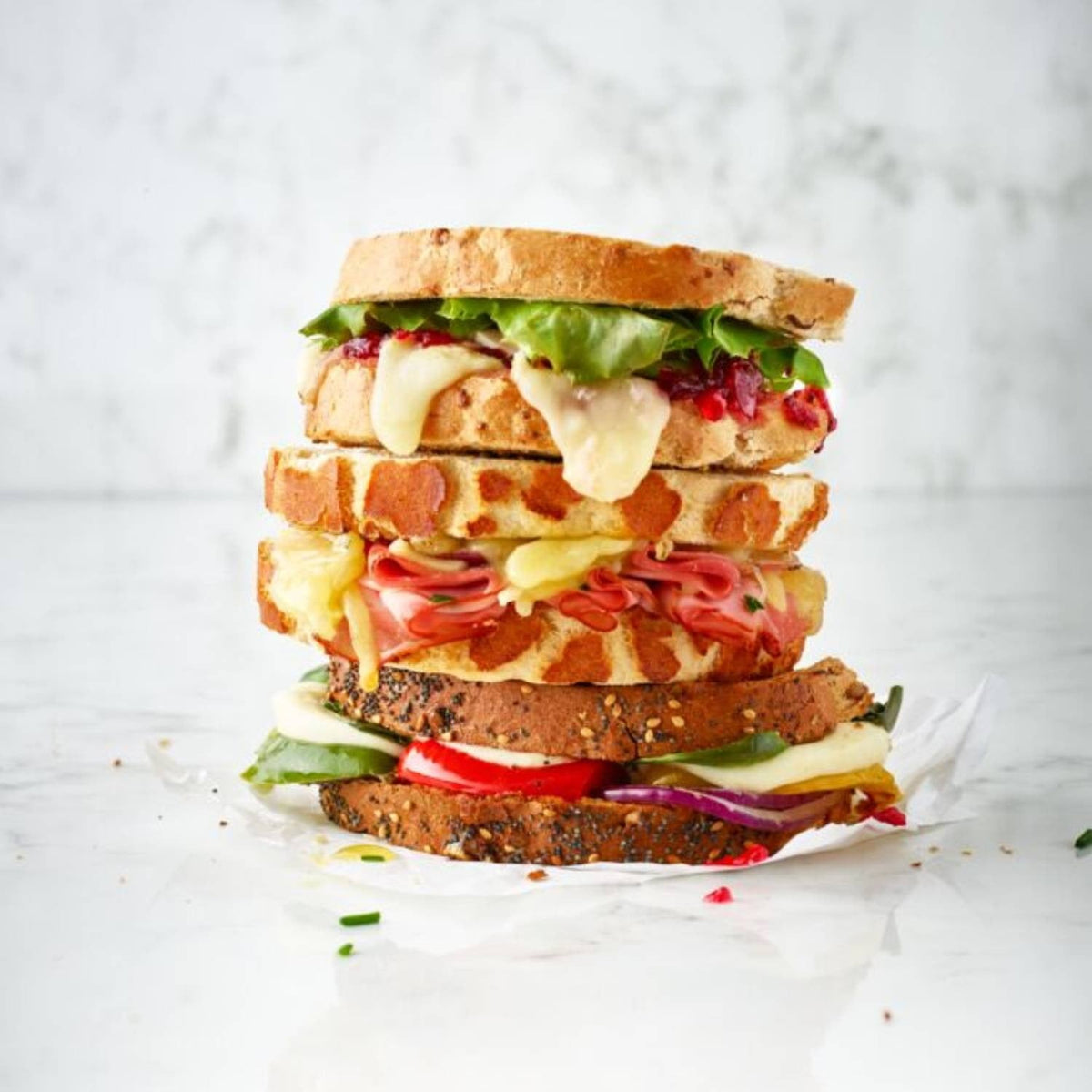 2 Lakeland Toastabags - Toasted Sandwiches In A Toaster
