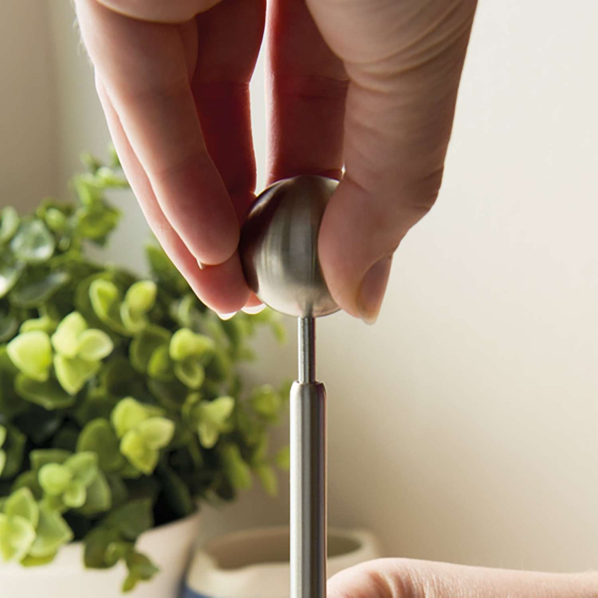Boiled Egg Topper