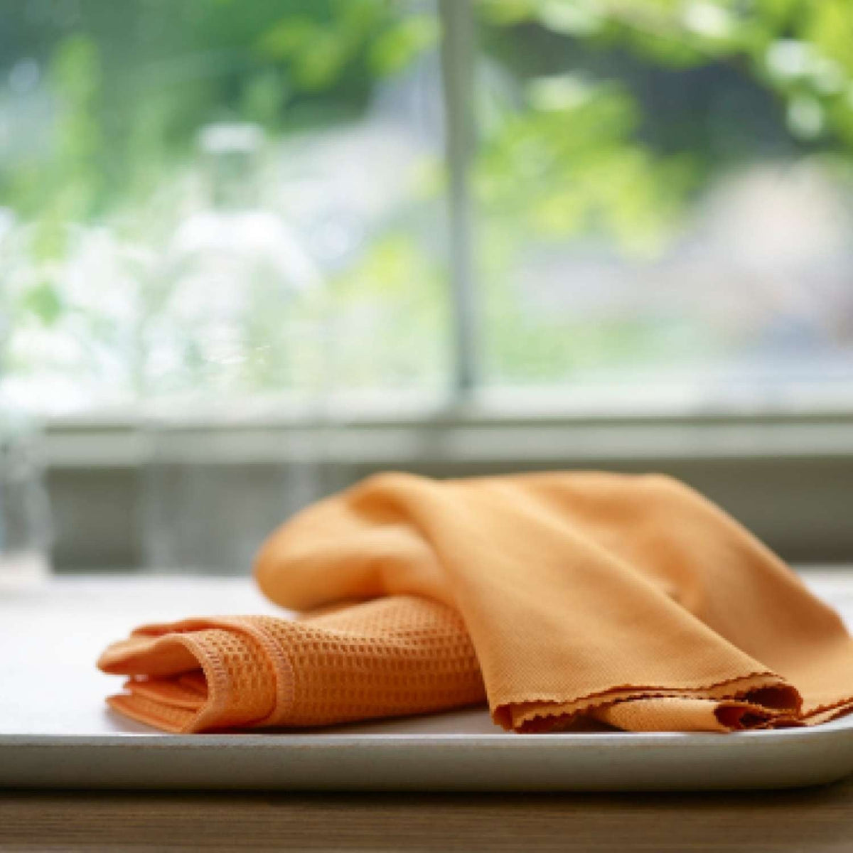 2 E-cloth Window Cleaning and Polishing Cloths