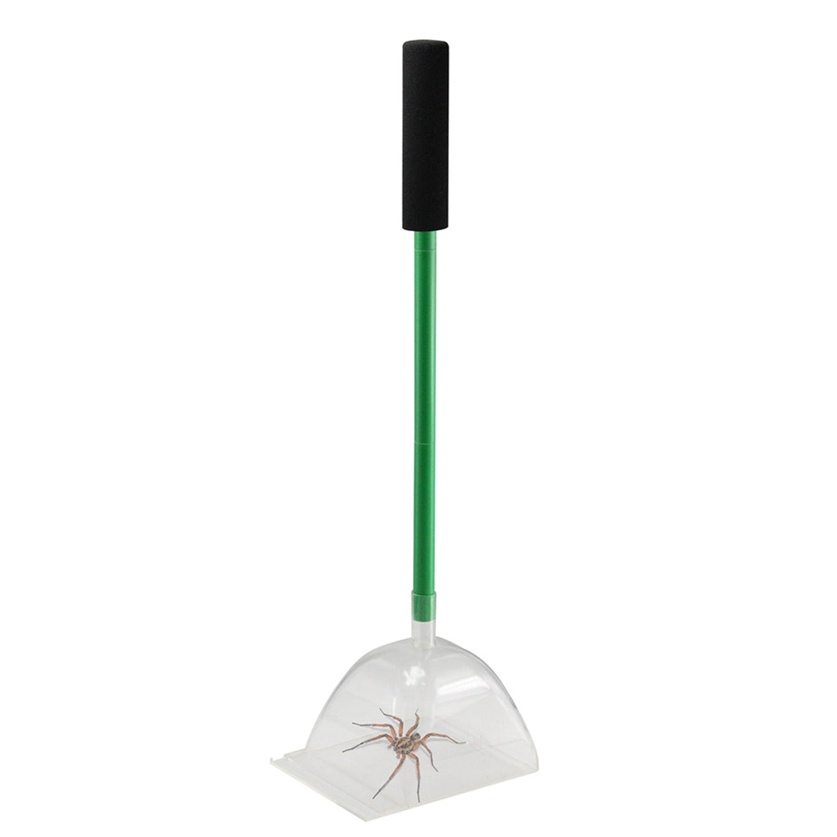 Big Bug Katcha Extended
