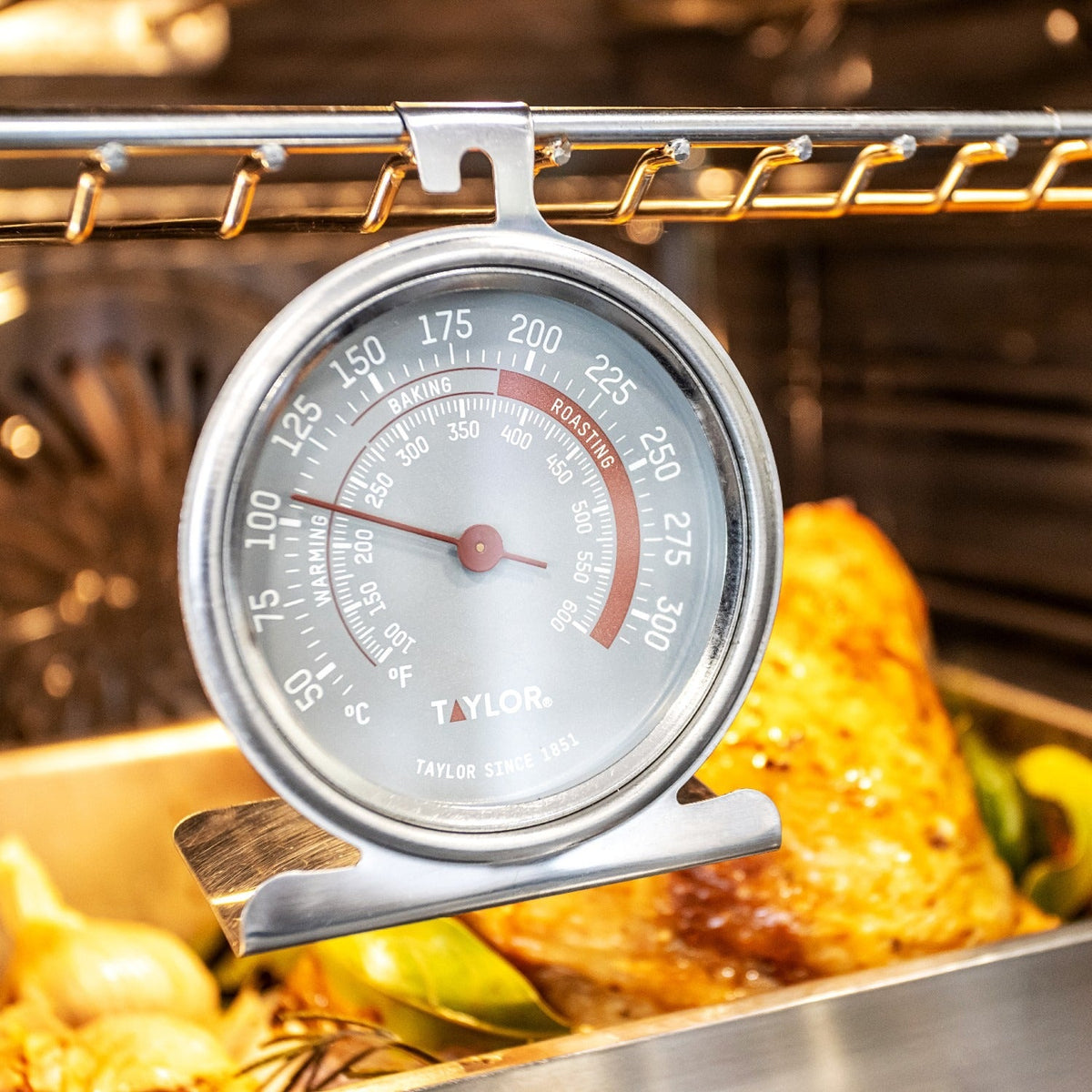 Taylor Pro Oven Thermometer