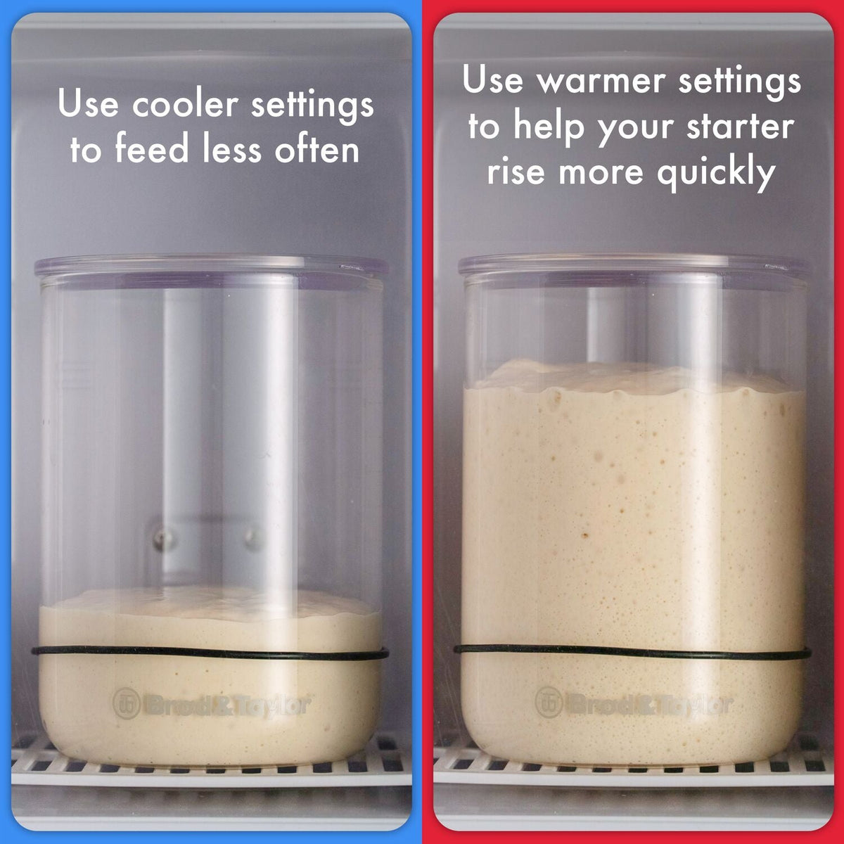 Brod & Taylor Sourdough Home Proofing Station