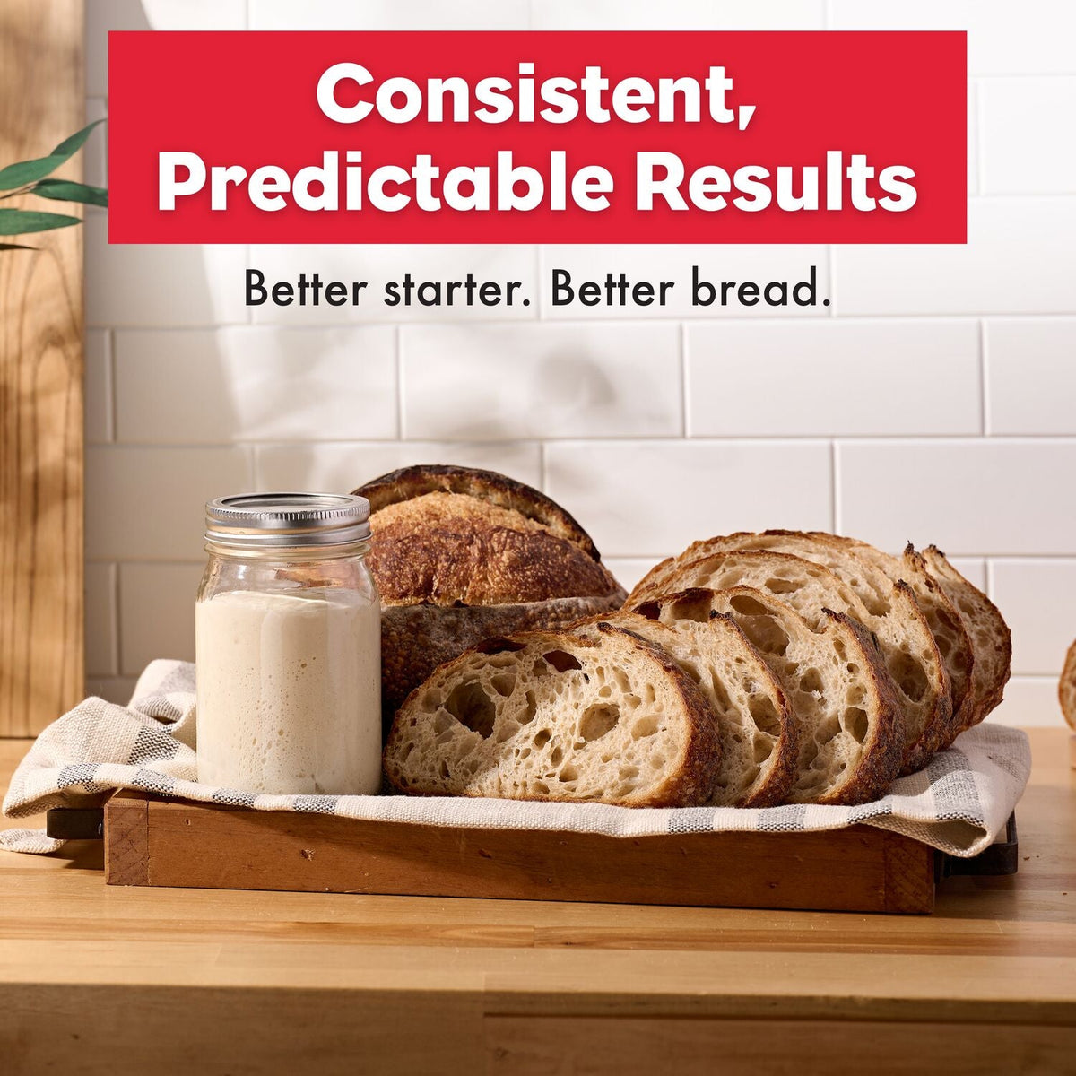 Brod & Taylor Sourdough Home Proofing Station