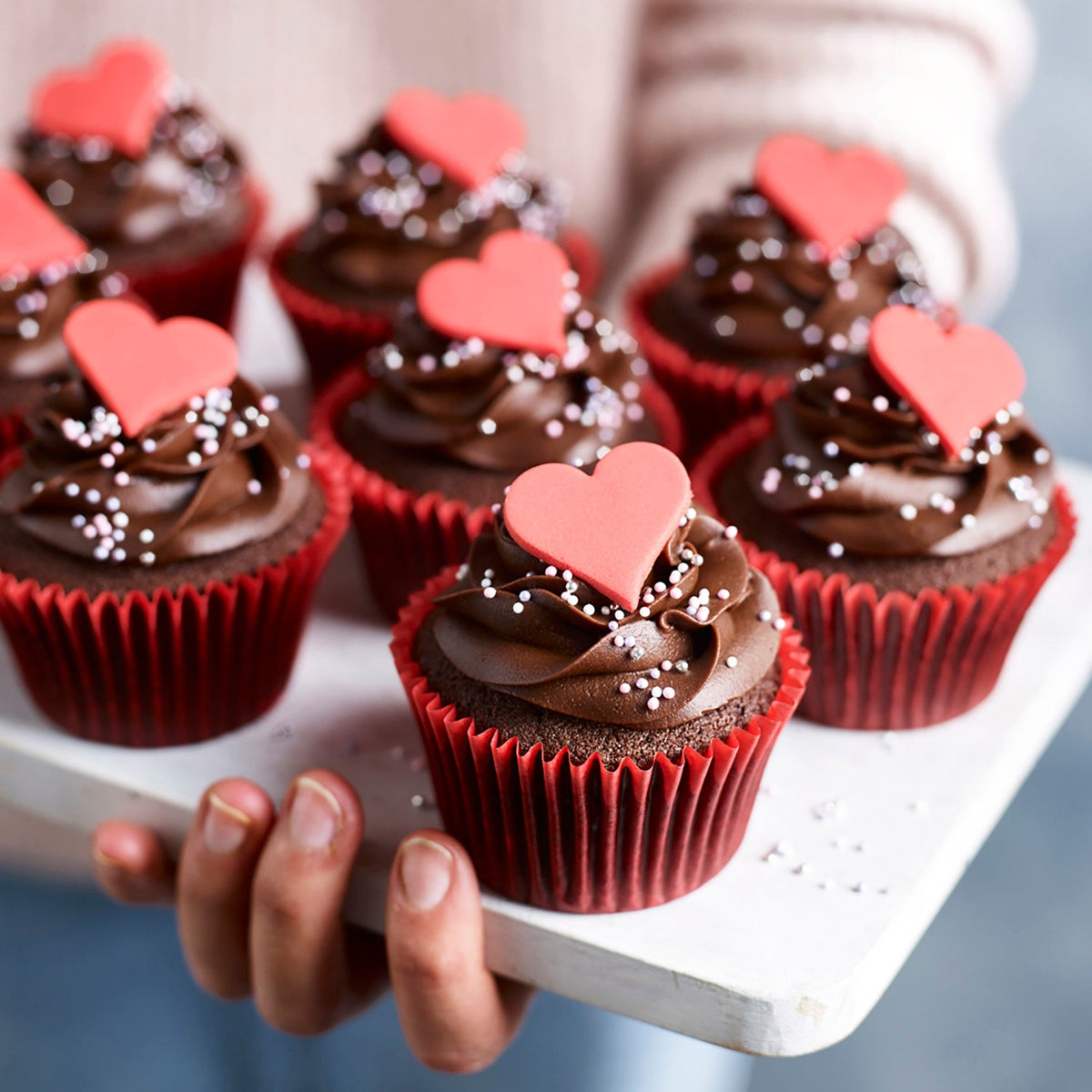 Renshaw Ready to Roll Coloured Icing - 250g Red