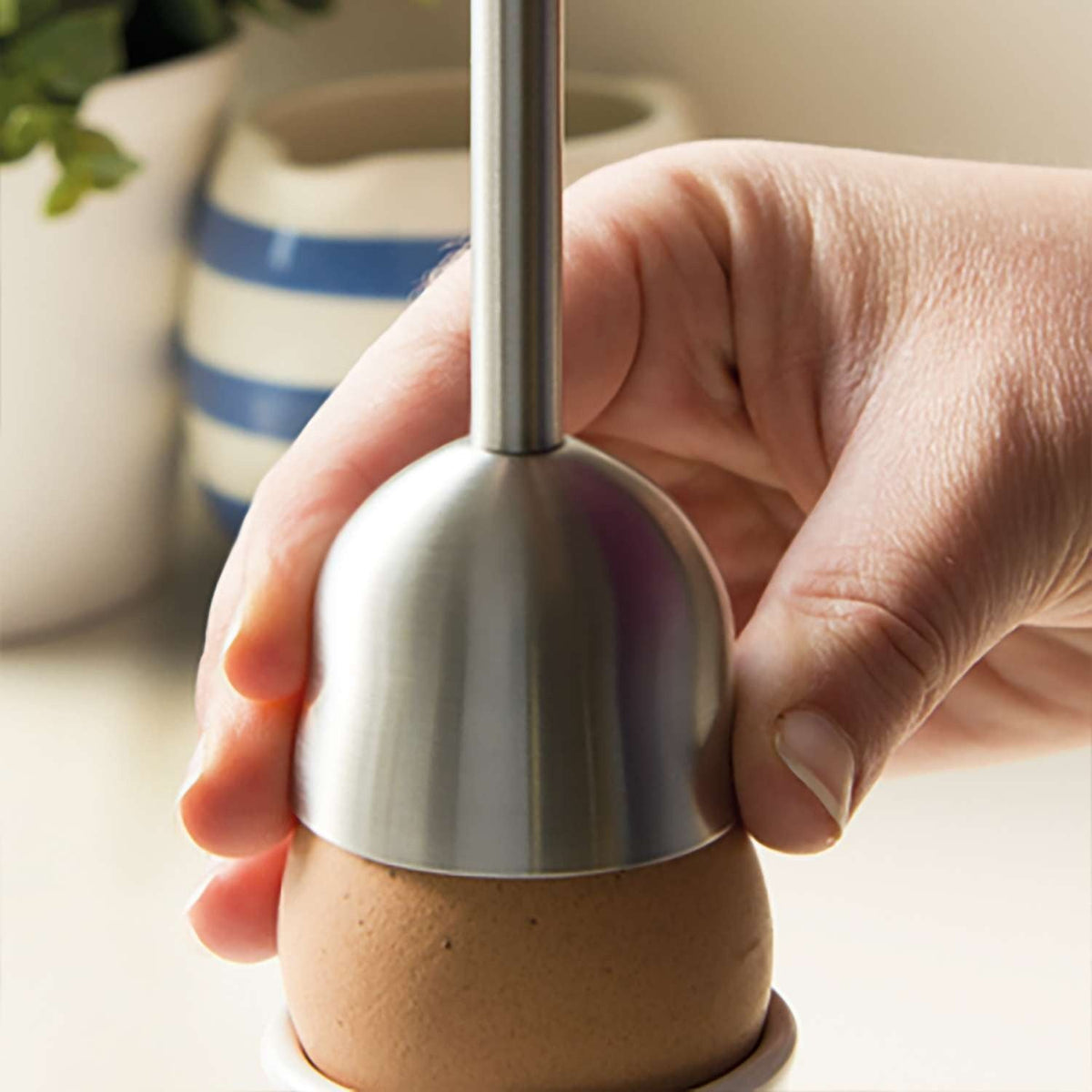 Boiled Egg Topper