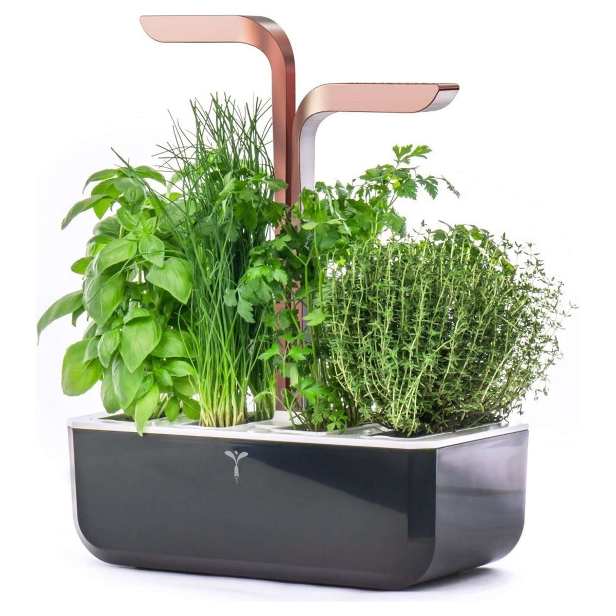 Véritable Smart Indoor Garden – Black