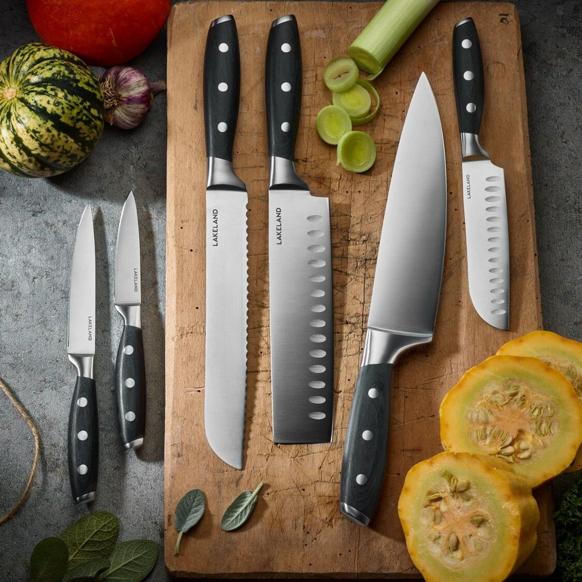 Lakeland Precision Paring Knife 9cm Blade