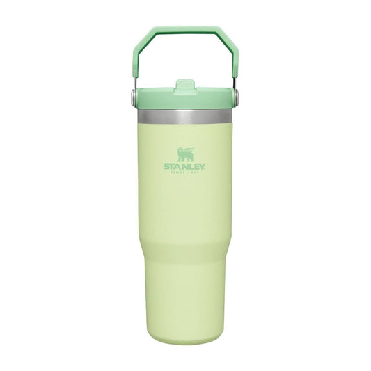 Stanley IceFlow Flip Straw Tumbler Citron 800ml
