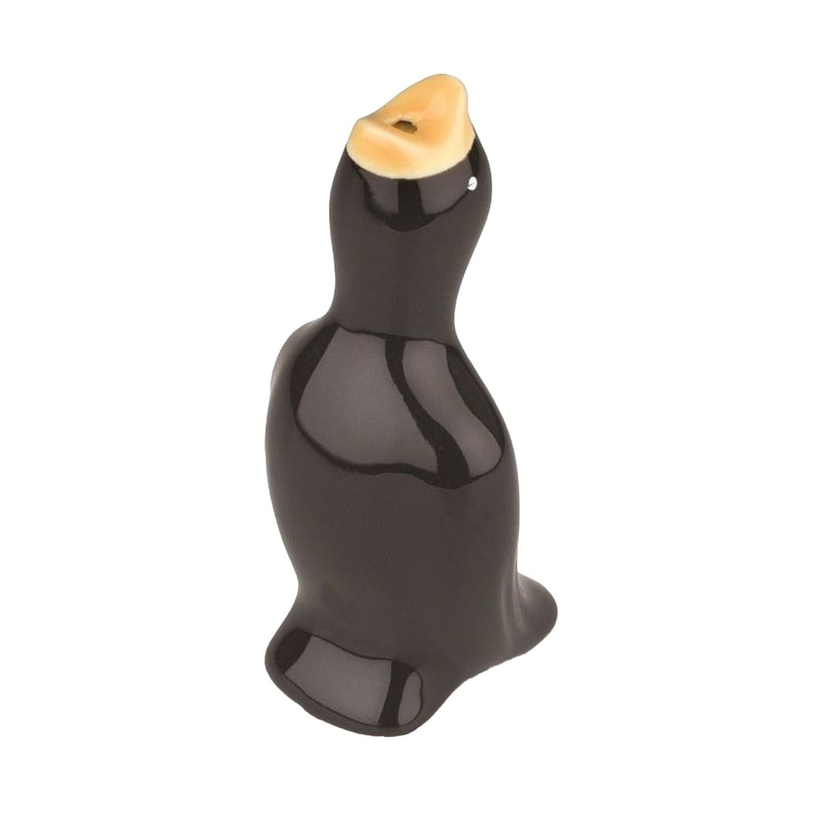 Tala Pie Funnel Bird