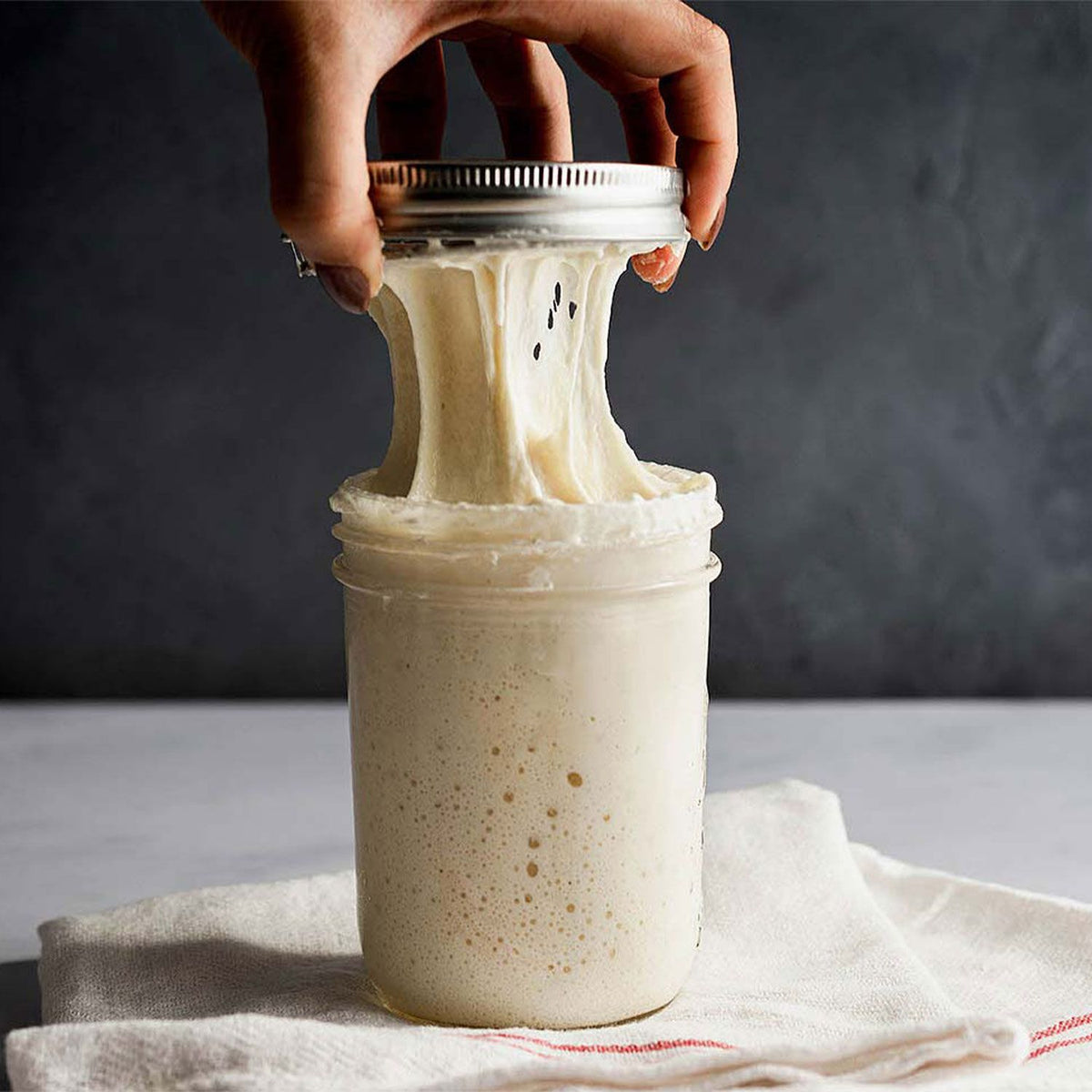 Brod & Taylor Sourdough Home Proofing Station