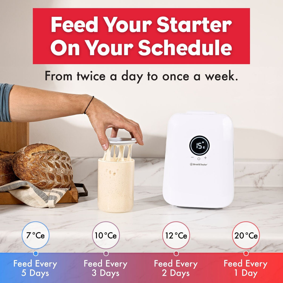 Brod & Taylor Sourdough Home Proofing Station