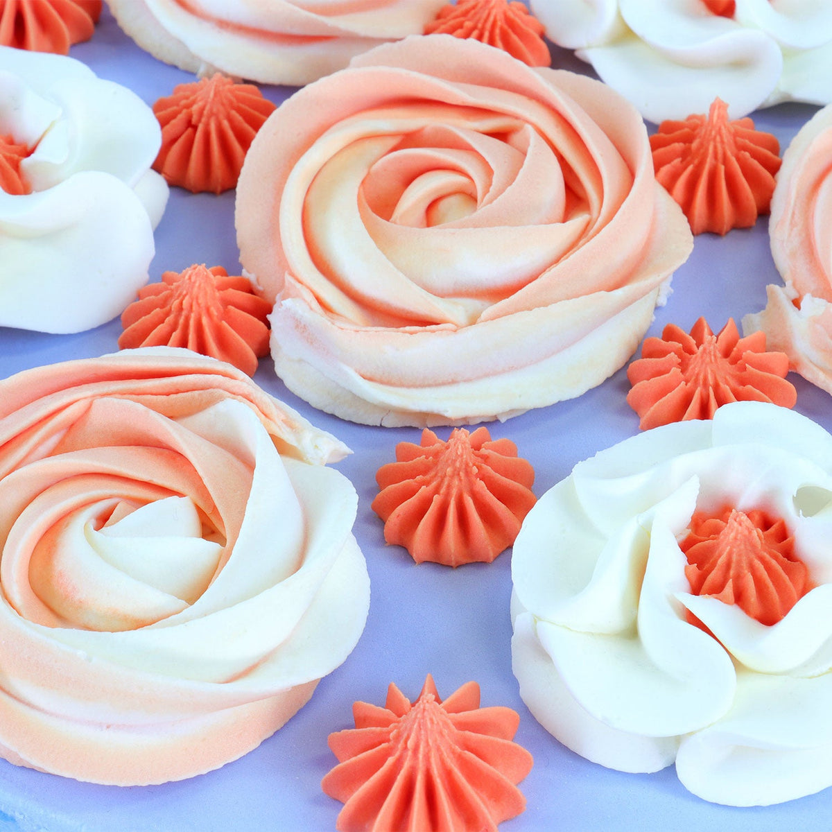 PME Jem Nozzles Set – Medium Cupcakes Collec