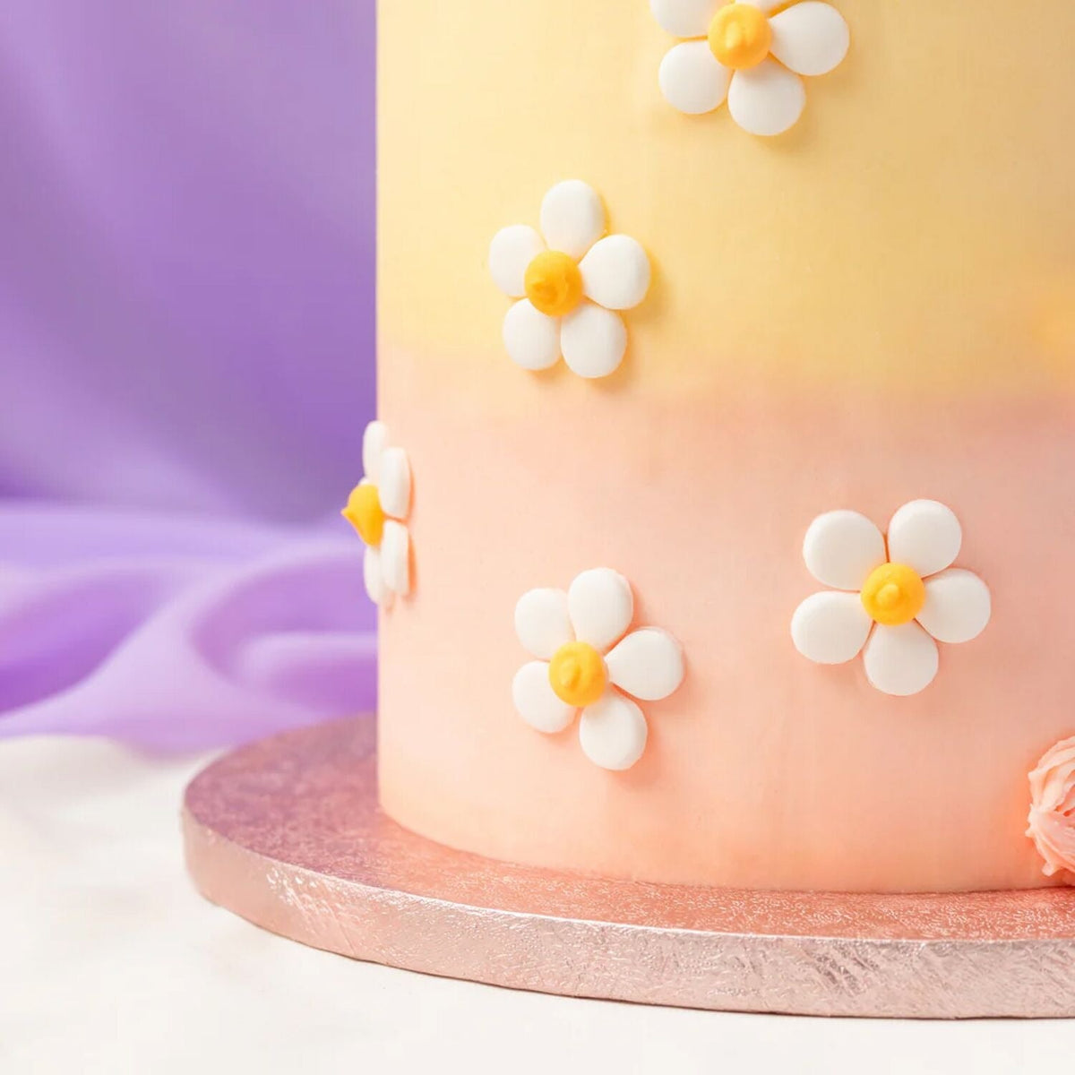 6 Daisy Toppers