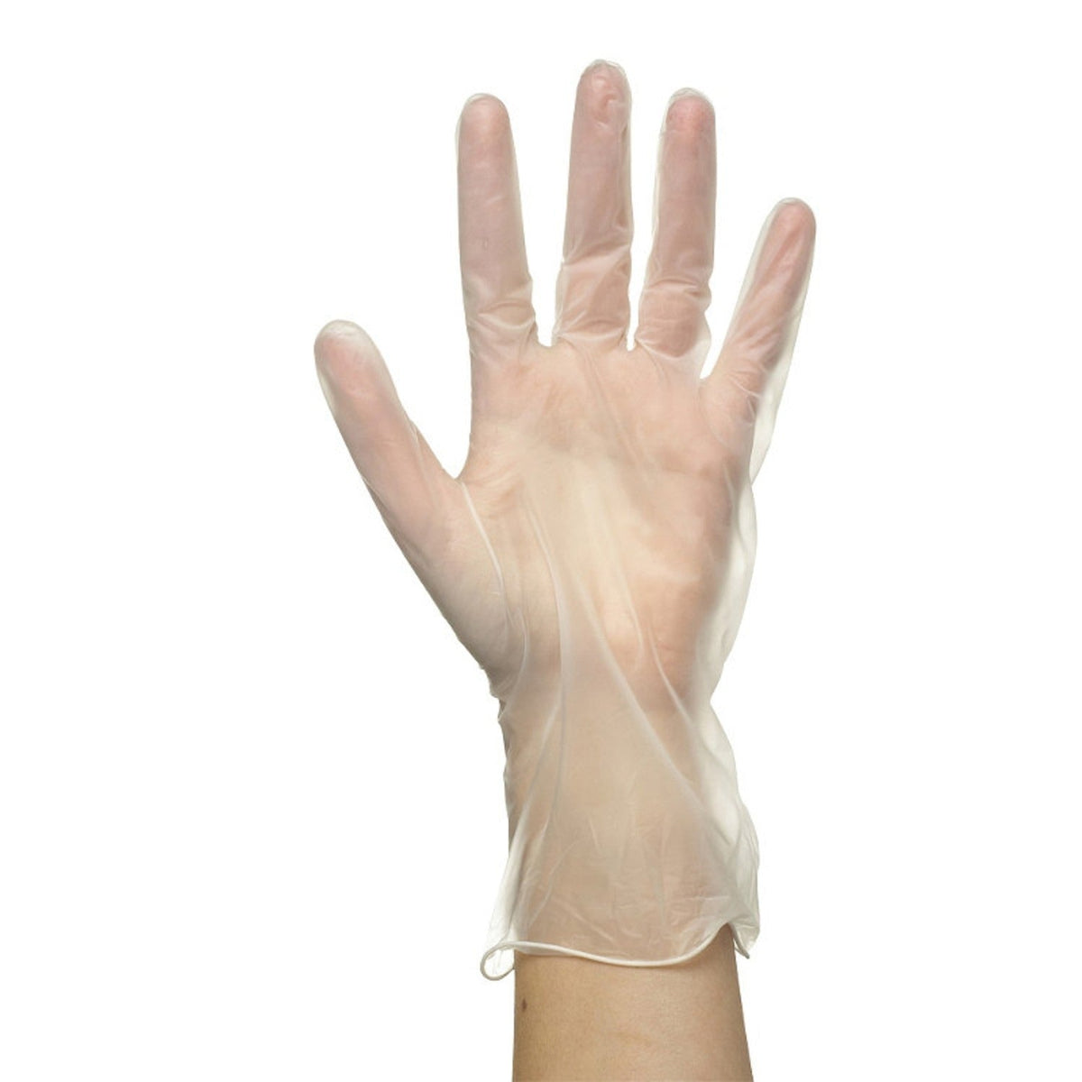 100 Disposable Vinyl Gloves Large